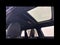 2027 MINI 4 DOOR SIGNATURE PLUS