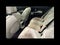 2024 MINI CLUBMAN Clubman